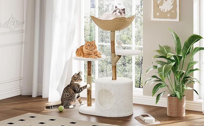 50-Inch Multi-Level Natural Wood Cat Tree for Large Cats - Modern Climbing Tower with Scratching Posts, Perch & Cozy Bed, Minimalist Pet Furniture for Indoor Kittens, Sturdy Design Fits Home Déco