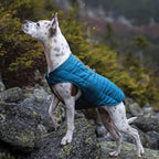 Kurgo Loft Dog Jacket - Reversible Cozy Coat for Outdoor Adventures - Water Resistant - Athletic Fit - Machine Washable Fabric - Reflective Dog Gear - X-Large - Coastal Blue