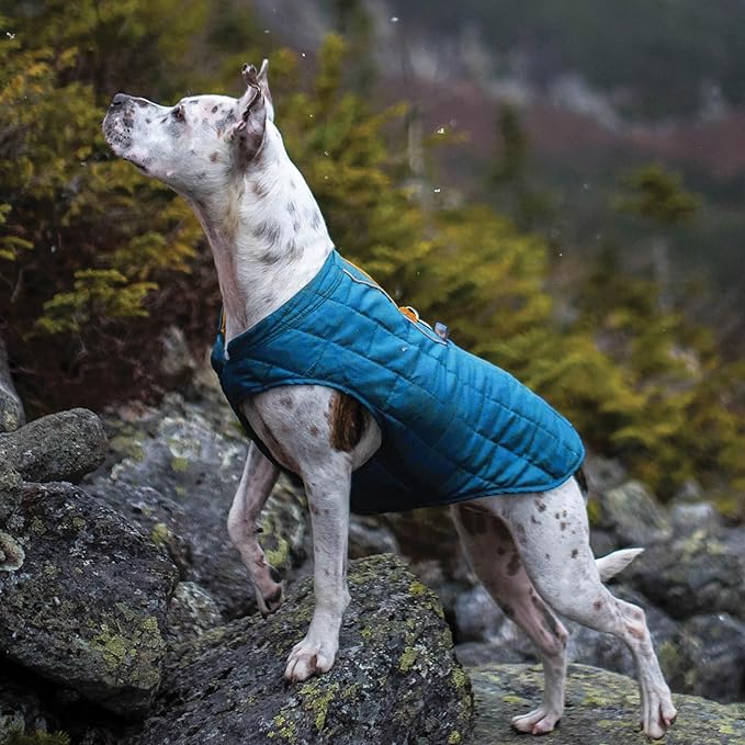 Kurgo Loft Dog Jacket - Reversible Cozy Coat for Outdoor Adventures - Water Resistant - Athletic Fit - Machine Washable Fabric - Reflective Dog Gear - X-Large - Coastal Blue