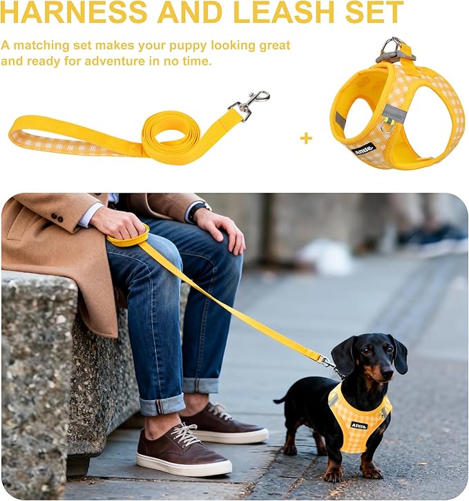AIITLE Easy Walk Dog Vest Harness and Leash Set, Pet Supply No Pull, Breathable Mesh, Reflective Stripes, Adjustable Escape Proof Pet Outdoor Harnesses for Medium Dogs Yellow L