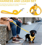 AIITLE No-Pull Pet Harness with a Leash, Plaid Comfort Padded Vest, Step in Dog Harness, Reflective Bands, Soft Breathable Pet Supplies, for Small and Medium Dogs and Cats Yellow S