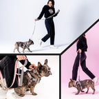 Wolfgang Heavy Duty Dog Leash, Pull-Tested to Over 800 lbs for Walking & Training, HoundsPink Print, Small