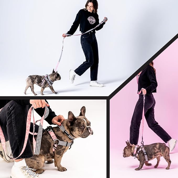 Wolfgang Heavy Duty Dog Leash, Pull-Tested to Over 800 lbs for Walking & Training, HoundsPink Print, Small
