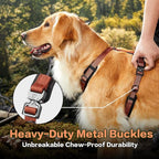 PawsPassion Dog Harness for Large Dogs, No Pull Dog Harness Easy Walk with Metal Hardware, Ergonomic Y-Shaped Design, Soft Padding, Padded Handle, Durable High-Tensile Nylon (Canyon Red, L)