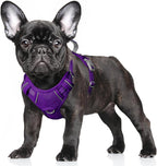 BARKBAY No Pull Dog Harness Large Reflective Dog Harness with Front Clip and Easy Control Handle for Walking Training Running with ID tag Pocket(Purple,S)