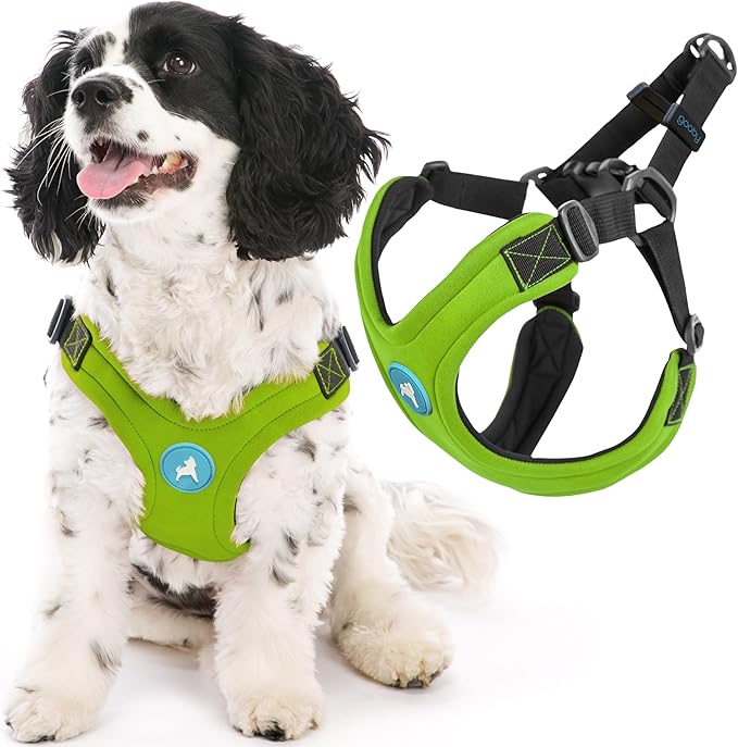 Gooby Escape Free Sport Harness - Lime, Large - No Choke Step-in Patented Neoprene Small Dog Harness with Four-Point Adjustment - Perfect on The Go Dog Harness for Medium Dogs No Pull and Small Dogs