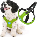 Gooby Escape Free Sport Harness - Lime, Medium - No Choke Step-in Patented Neoprene Small Dog Harness with Four-Point Adjustment - Perfect on The Go Dog Harness for Medium Dogs No Pull and Small Dogs