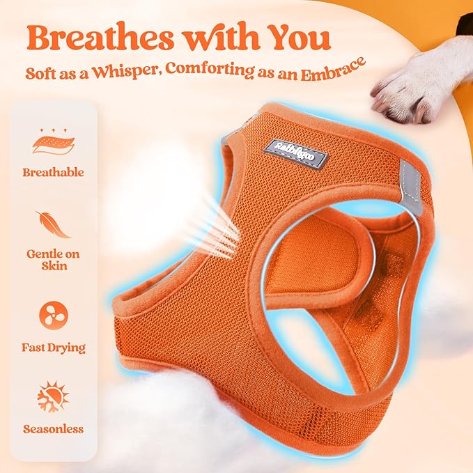 rabbitgoo Dog Harness Small Sized and Leash Set, Step in Soft Light Puppy Vest, Breathable Mesh Pet Harness, Reflective for Safe Easy Walking, Orange M