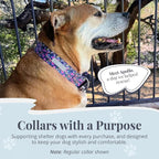 Lucky Love Dog Wide Martingale Dog Collar - No-Slip, Durable, & Soft Webbing 1.5 inch Martingale Collar for Dogs Male and Female Ideal for Training & Walking - Caroline, Medium