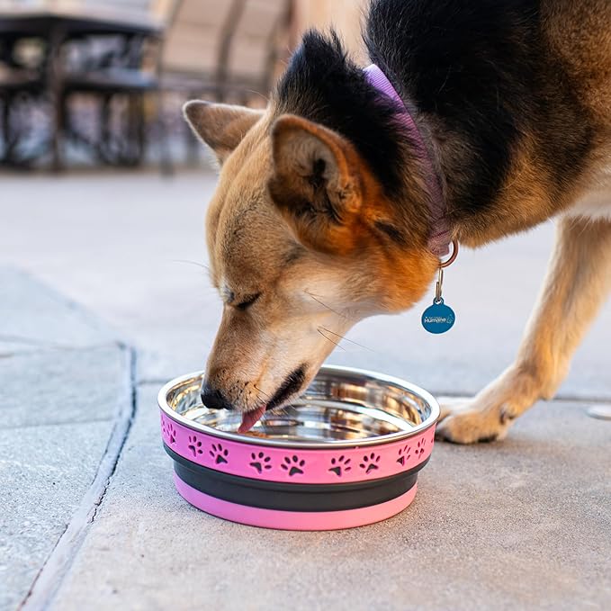 Loving Pets Corsa Dog Bowls- Stainless Steel Dog & Cat Bowls - Spill Proof Dog Food Bowl, Cat Bowl, Puppy Essentials & Pet Supplies Great for Home & Travel (Small 10-20 lbs, Fiery Pink)