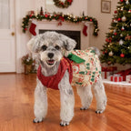 Dog Christmas Outfit Cute Dog Christmas Dress with Bowknot Tulle Puppy Clothes for Small Medium Dogs Cats Boys Girls Pet Costume