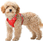 BARKBAY No Pull Dog Harness Large Reflective Dog Harness with Front Clip and Easy Control Handle for Walking Training Running with ID tag Pocket(Red,XS)