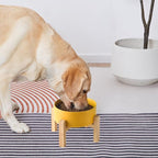 6'' Ceramic Raised Dog Bowl - 30Oz Dog Food & Water Bowl with Elevated Non-Slip Bamboo Stand, Dishwasher & Microwave Safe, Anti Vomiting Heavy Duty Pet Bowl for Small and Medium Dogs, Yellow
