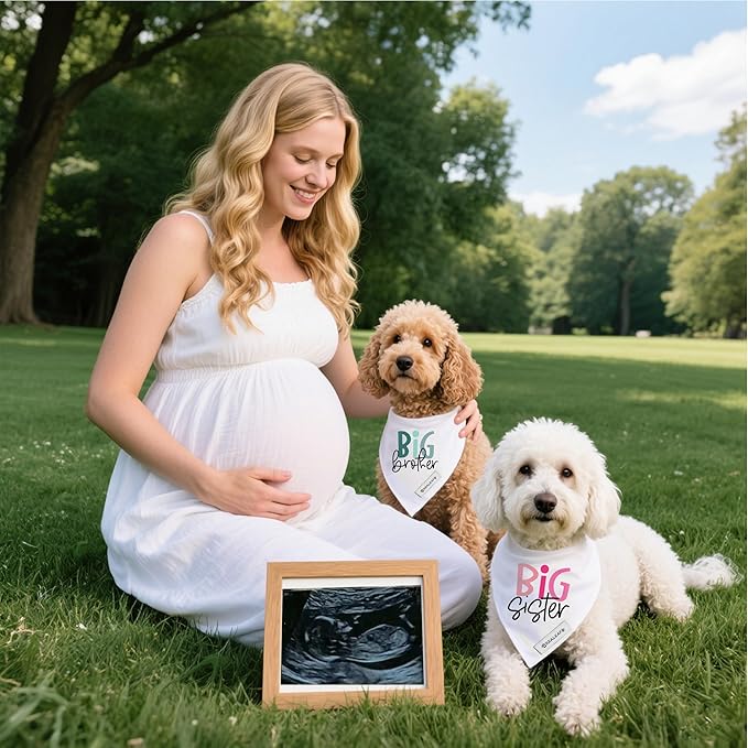 Realeaf Big Brother Big Sister Dog Bandanas Pet Scarf for Medium and Large Dogs New Baby Announcement Pet Accessories Pregnancy Reveal Ideas (Large)
