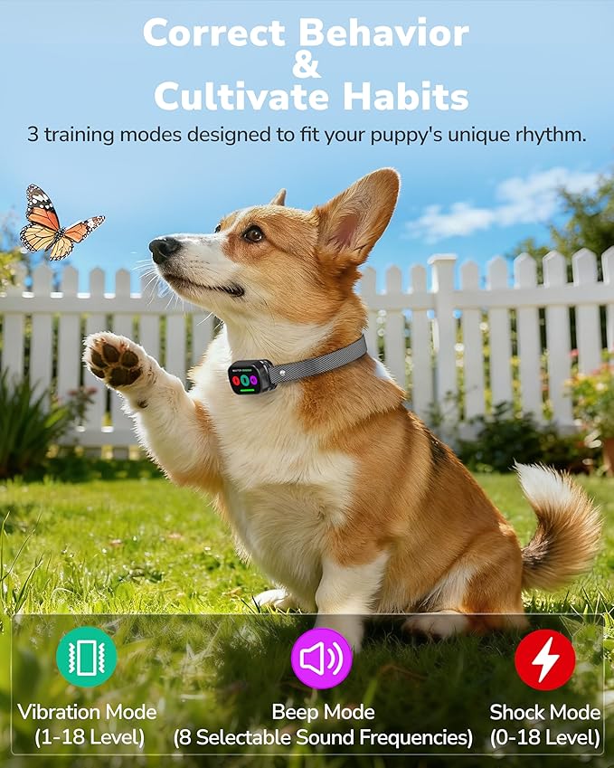 Dog Shock Collar with Remote Control, 3300FT Dog Training Collar with Beep/Vibration/Shock, Security Lock, IPX8 Waterproof Ecollar Rechargeable for Medium Large Dogs