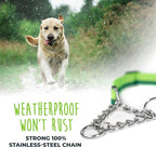 Mighty Paw Martingale Dog Collar - Gentle Correction with No More Pulling - Strong 100% Stainless Steel Chain - Weatherproof Won't Rust - Built to Last Premium Quality Nylon - Durable Plastic Buckle