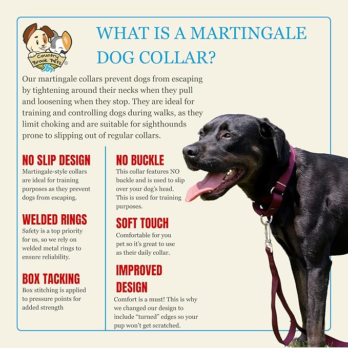 Country Brook Petz - Martingale Dog Collar - Heavy-Duty Training Collar with No Buckle - Service Dog Collar for All Pups - 10+ Warm Colors (Burgundy, 1 Inch, Extra Large)