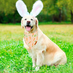 ADOGGYGO Easter Dog Bandanas, Rabbit Carrot Pet Scarf, Multi Size Offered, Orange Blue Easter Bandana for Extra Large Dogs Pets (X-Large)