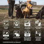 Dogtra 1902S HANDSFREE Plus Boost and Lock, Remote Dog Training E-Collar, HANDSFREE Square, 3/4-Mile Range, Rechargeable, Waterproof, High-Output, 2 Dog System, eCollar for Medium, Large Dogs
