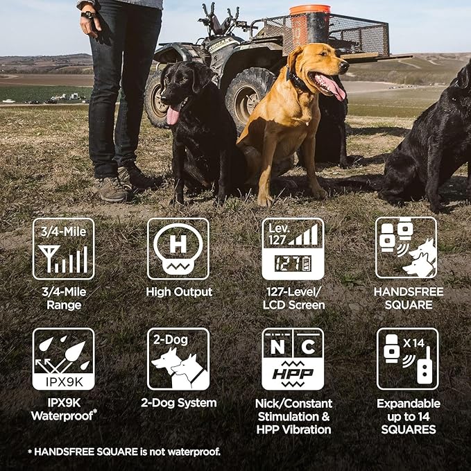 Dogtra 1902S HANDSFREE Plus Boost and Lock, Remote Dog Training E-Collar, HANDSFREE Square, 3/4-Mile Range, Rechargeable, Waterproof, High-Output, 2 Dog System, eCollar for Medium, Large Dogs