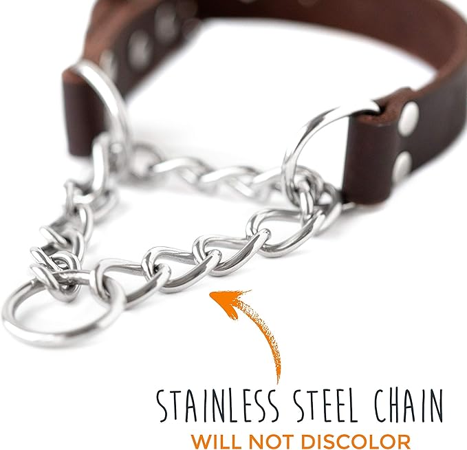 Mighty Paw Martingale Dog Collar - No Pull Design - Stainless Steel Chain - Limited Chain Cinch Training - Brown Leather Martingale Training Collar - Small Size
