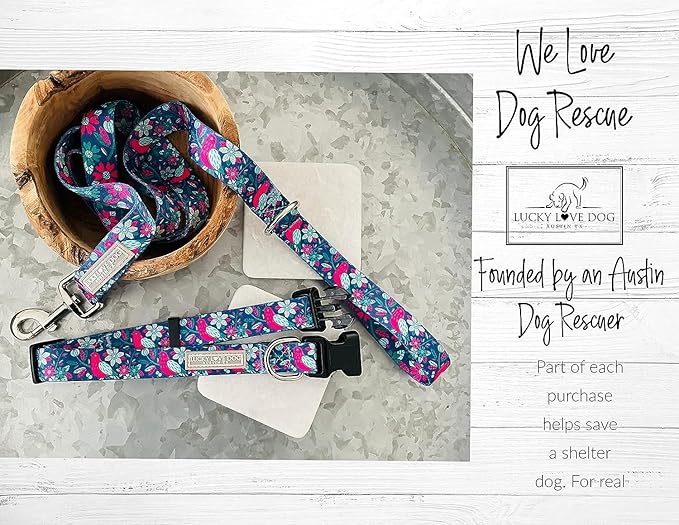 Lucky Love Dog - Easy Click Buckle Dog Collar with Leash Set Combo, Durable & Comfortable for Male & Female Dogs, Pet Collar for Large Dogs, Secure Fit - Carriebelle Combo, Large