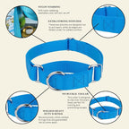 Country Brook Petz - Martingale Dog Collar - Heavy-Duty Training Collar with No Buckle - Service Dog Collar for All Pups - 10+ Cool Colors (Ice Blue, 1 Inch, Extra Large)