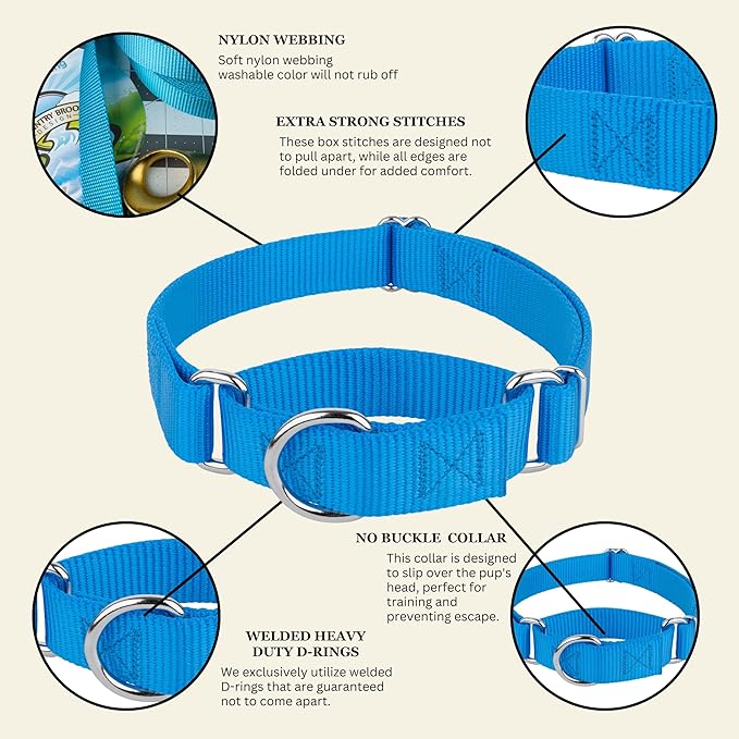 Country Brook Petz - Martingale Dog Collar - Heavy-Duty Training Collar with No Buckle - Service Dog Collar for All Pups - 10+ Cool Colors (Ice Blue, 1 Inch, Extra Large)