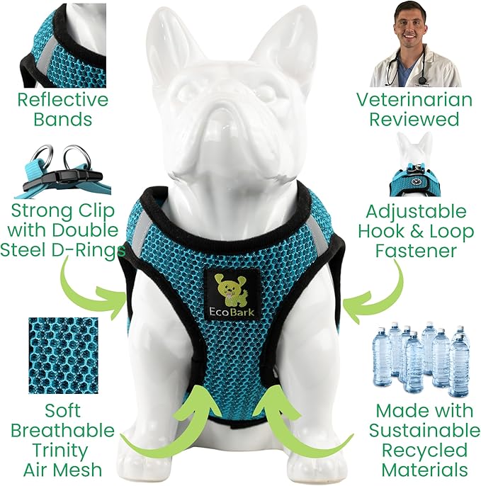 EcoBark Step in Dog Harness - Eco-Friendly Small Breed Dog Harnesses for Small and Medium Breed Dogs - Reflective and Adjustable Body Halter Vest - Soft Mesh Toy Breed Harness (Aqua Sport, Large)