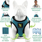 EcoBark Step in Dog Harness Reflective Soft Ultra Padded Mesh Dog Harnesses for XXS, XS, Small, and Medium Dogs Eco-Friendly Comfort Secure Halter No Pull Adjustable Pet Vest