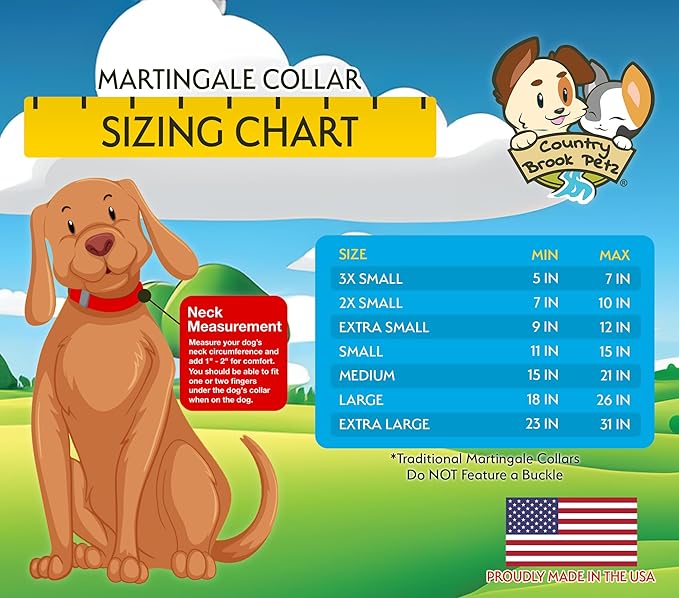 Country Brook Petz - Martingale Dog Collar - Heavy-Duty Training Collar with No Buckle - Service Dog Collar for All Pups - 10+ Cool Colors (Charcoal, 3/4 Inch, Small)