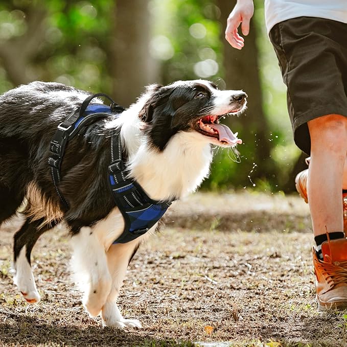 rabbitgoo Dog Harness No-Pull, Comfortable Padded Plaid Harness with Handle Easy Control, Adjustable Reflective Pet Vest with 2 Leash Clips for Small Dog, Blue Plaid, S