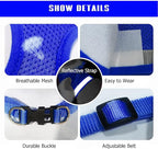 FEimaX Dog Harness and Leash Set for Walking, Soft Mesh Adjustable Easy Control Lightweight Cat Vest Harnesses with Reflective Strips, Escape Proof Small Dogs Cats Vests (Blue, Medium)