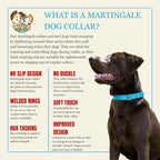Country Brook Petz - Martingale Dog Collar - Heavy-Duty Training Collar with No Buckle - Service Dog Collar for All Pups - 10+ Cool Colors (Ice Blue, 5/8 Inch, Extra Small)