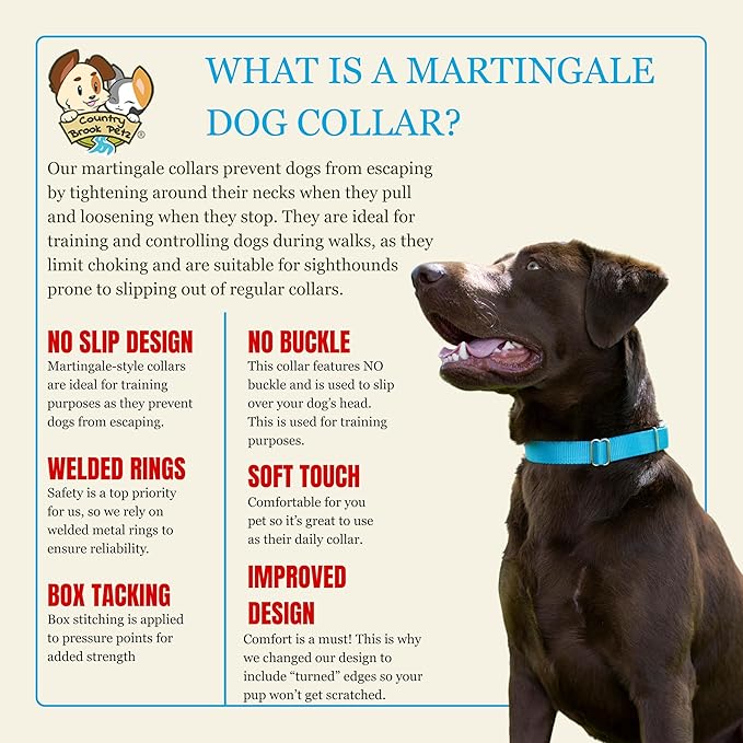 Country Brook Petz - Martingale Dog Collar - Heavy-Duty Training Collar with No Buckle - Service Dog Collar for All Pups - 10+ Cool Colors (Ice Blue, 1 Inch, Medium)