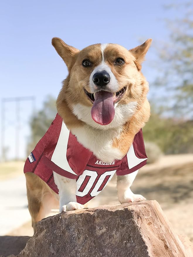 Pets First NFL Arizona Cardinals Dog Jersey, Size X-Small, Football Shirt Costume for Pet, Dog Sports T-Shirt, NFL Team Clothing for Cats, Licensed Pet Apparel Available in 7 Sizes and 32 Teams