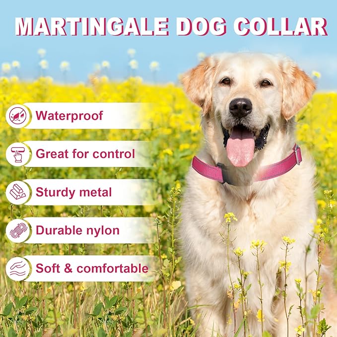 Martingale Collar for Dogs,Reflective Martingale Dog Collars with Quick Release Buckle,Adjustable Nylon No Pull Dog Collar for Walking Training (Red, Extra Large)