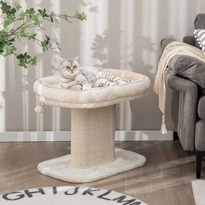 PETSITE 19.5-inch Small Cat Tree, 2-Tier Minimalist Cat Tree with Sisal Scratching Post, Extra Large Comfy Top Perch, and Dangling Ball, Ideal for Indoor Cats, Supports up to 44 lbs, Beige