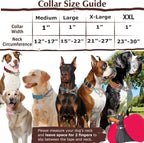 Martingale Dog Collar with Steel Chain, Adjustable Reflective Nylon & Soft Padded - for Medium, Large, XL, XXL Dogs for Training,Walking Pet Collar (Purple Flowers L)