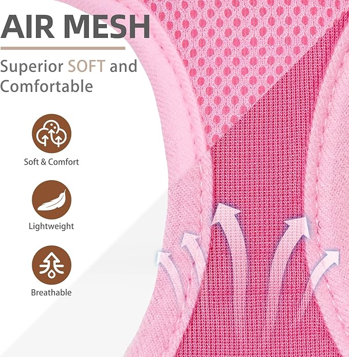 PUPTECK Dog Harness and Leash Set for Small Medium Dogs No Pull Step-in Soft Mesh Puppy Cat Vest Harnesses Reflective at Night, Pink & Blue, S