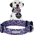 Lucky Love Dog Wide Dog Collar - Adjustable, Durable, Soft Webbing, & Comfortable 1.5 inch Wide Collar for Dogs Male and Female with Strong Buckle - Primrose, Medium