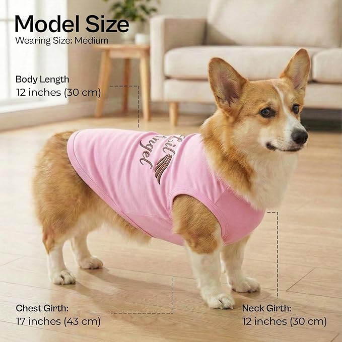 Parisian Pet Dog Shirt – 100% Cotton Lil Angel Shirts for Medium Dogs – Pink Sleeveless Puppy Clothes – Breathable and Soft Girl Dog Clothes - Stretchy Pet Apparel - Summer Tshirts for Dogs