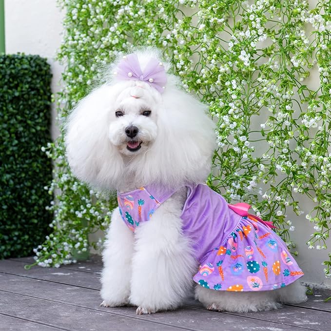 CuteBone White Rabbit Dog Easter Dress Velvet for Small Dogs Girl Eggs Skirt Puppy Purple Dresses Dog Clothes CVA19XXS-D