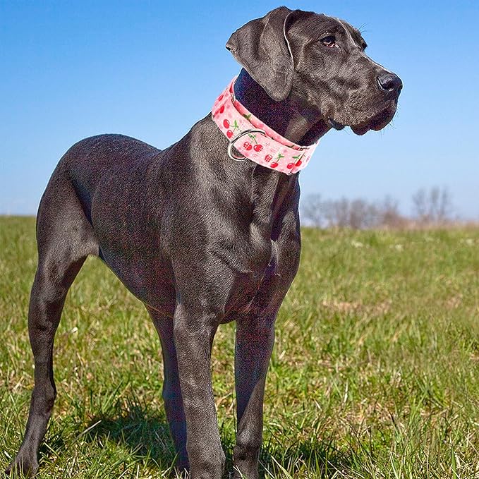 1.5 inch Wide Martingale Collar for Medium Dogs,Big Thick Dog CollarNo-Slip Escape Proof Choke No Pull Cinch for Male and Female Dogs for Training & Walking -Pink Cherry M