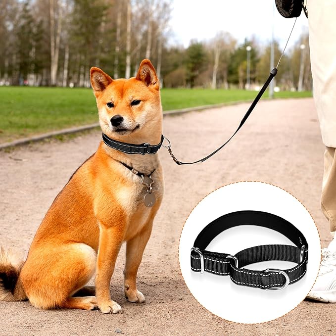 12 Pcs Martingale Collar for Medium Dogs Adjustable Pet Training Collar Reflective Dog Collar with Durable Metal Buckle Heavy Duty Nylon No Pull Martingale Collar for Small Medium Large Dogs, Small
