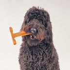 SPOT Bam-Bones Plus T Bone - Bamboo Fiber & Nylon, Durable Long Lasting Dog Chew for Aggressive Chewers – Toy for Dogs & Puppies Under 90lbs, Non-Splintering, 7in, Allergen Free Peanut Butter Flavor