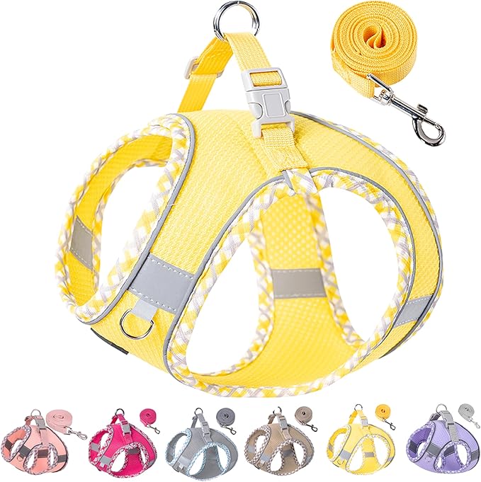 Petank Dog Harness for Small Medium Dogs No Pull, Puppy Harness and Leash Set for Walking, Running, Training, Small Dog Harness, Medium Dog Harness (Yellow, XS)