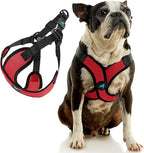 Gooby Comfort X Step in Lite Dog Harness - Choke Free, Escape Free with Light Breathable Mesh - Step in Dog Harness for Small Dogs Only - Quick Release Buckle, Metal D-Rings - Red, Medium