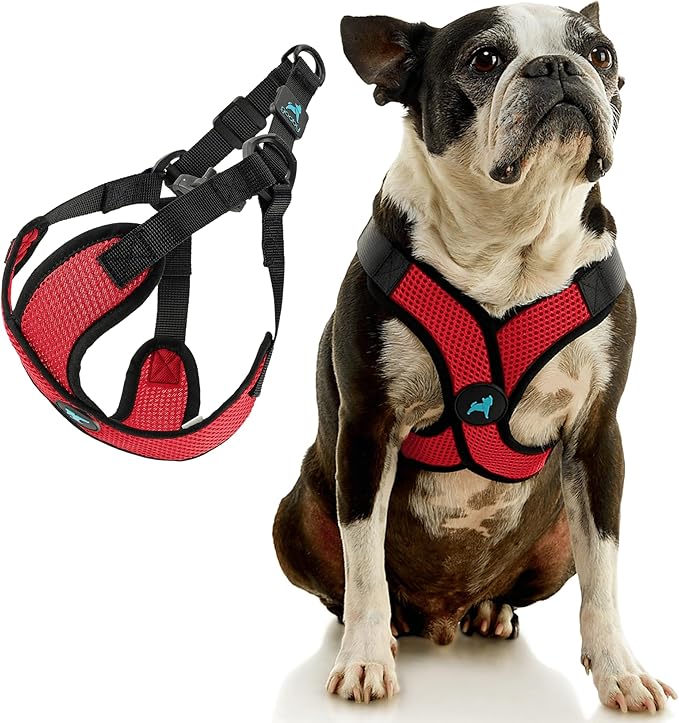 Gooby Comfort X Step in Lite Dog Harness - Choke Free, Escape Free with Light Breathable Mesh - Step in Dog Harness for Small Dogs Only - Quick Release Buckle, Metal D-Rings - Red, Medium