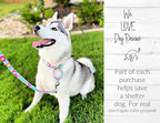 Lucky Love Dog - Adjustable Dog Collar with Easy Click Buckle for Large Ones, Durable, & Comfortable for Male & Female Dogs, Pet Collar for Puppies & Adult Dogs - Caroline, XL